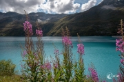 Lac de Moiry