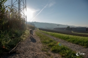 Morgenrunde mit Schnitzel