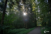 Morgenrunde mit Schnitzel