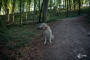 Morgenrunde mit Schnitzel