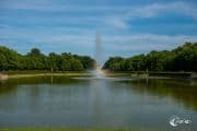 Palastteich Großer Garten