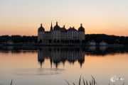 Schloss Moritzburg